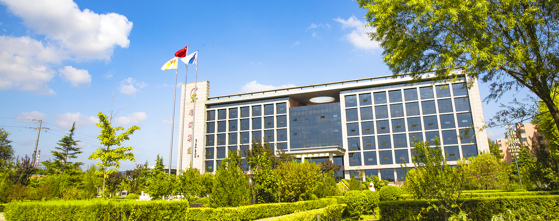 俏丽PP电子游戏